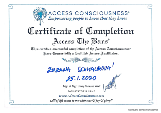 Acces Bars